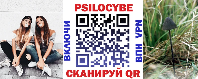 Галлюциногенные грибы GOLDEN TEACHER Купить Чегем